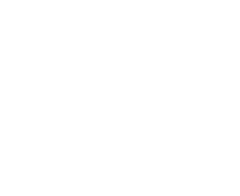 Dental Master